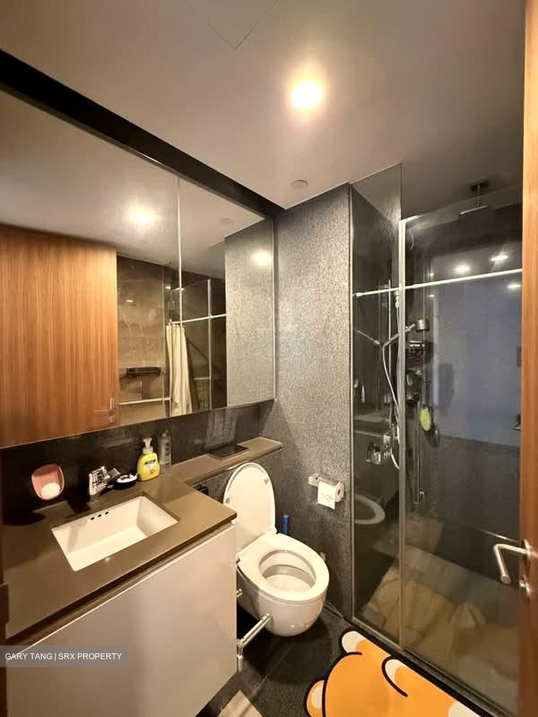 PS100 (D2), Condominium #608698321